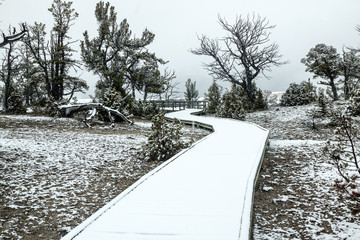 Snowy Boardwalk