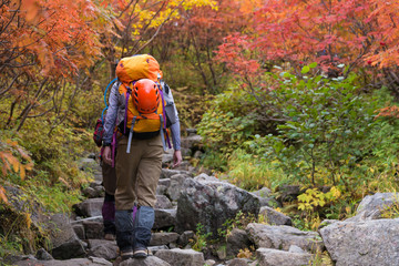 登山者　紅葉