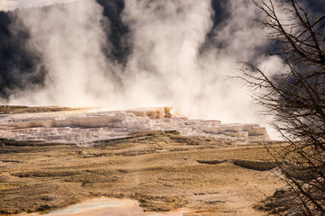 Mammoth Hot Springs Terrace