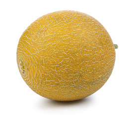 Melon