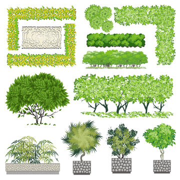 Hedge Drawing Images – Browse 41,660 Stock Photos, Vectors, and Video |  Adobe Stock