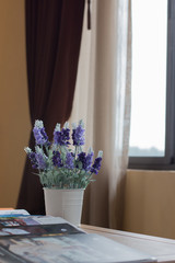 Flower pots on the table