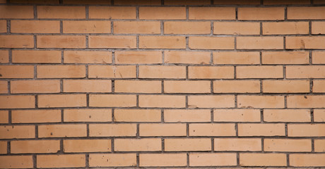 the background a brick wall