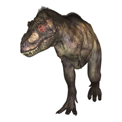 Dinosaur Tyrannosaurus