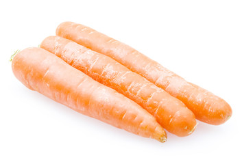 Carrot