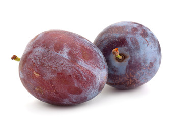 Plum fruit on white