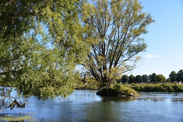 Lippeauen