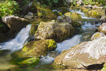 Naklejka na ściany i meble Mountain river flowing among mossy stones.
