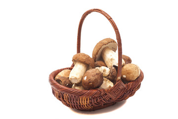 mushroom in basket isolated on white background