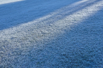 Fototapeta na wymiar Morning frost