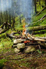 Campfire in the coniferous forest close up.