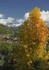 paesaggio autunnale