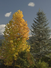 paesaggio autunnale