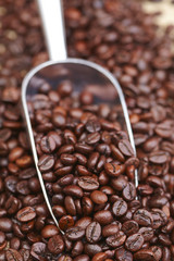 coffee beans