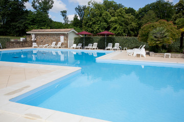 Swimming pool and lush vegetation