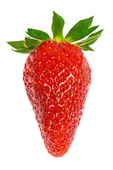 fresh strawberry