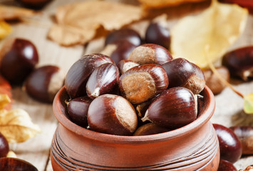 Edible chestnut harvest in a clay pot in the autumn with fallen