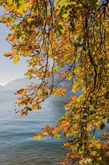 Lugano, Stadt, Luganersee, Lago di Lugano, See, Seeufer, Uferweg, Herbstfarben, Herbstlaub, Herbstsonne, Herbst, Spaziergang, Tessin, Schweiz