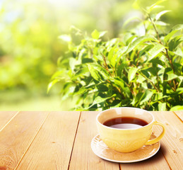 Cup of tea on wooden table, on nature background