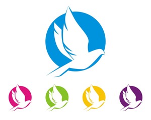 dove pigeon bird logo