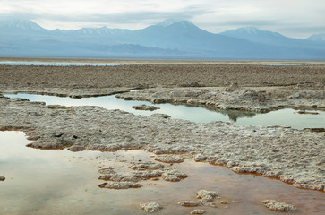 Salt lake lagoon Chaxa