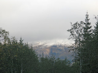 Snowy mountain and Norwegian woods in forest in Nordland, Norway in October.
