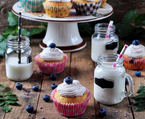 Blueberry homemade cupcakes with a jar of milk on a wooden background, rustic style