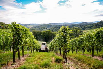 Southern Styria Austria - Grape vines: Working in steep vineyard with a tractor © ah_fotobox