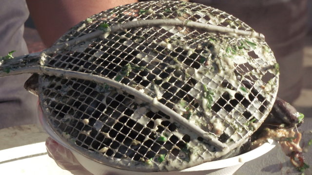 Cooking mussels food