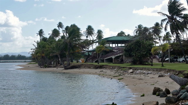 Coastal tropical park San Juan Puerto Rico HD 0627