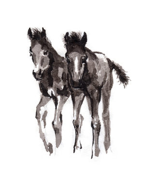 Playing foals, standing side by side, oriental ink painting. Sumi-e art.