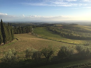 Obraz premium gaiolo in chianti