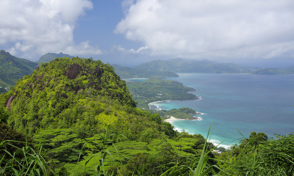 The coastline of Mahe island - The equatorial forest in the foreground, Seychelles