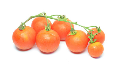 Red tomato isolated on white background