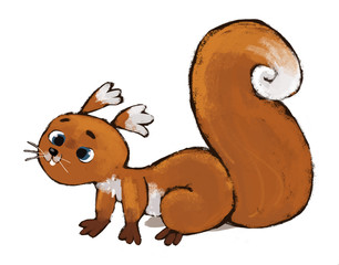 ardilla © cirodelia