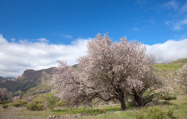 Gran Canaria, Caldera de Tejeda