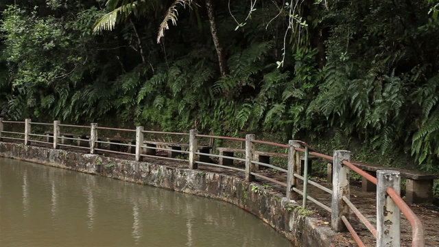 Jungle pool El Yunque Rainforest Puerto Rico pan HD 1776