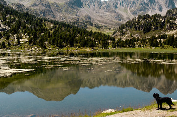 Fototapeta na wymiar Pessons, Lake, Andorra