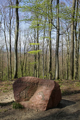 Stein auf dem B&auml;renkopf im Kalletal