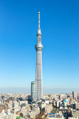 Naklejka premium Tokyo Sky Tree-Aozora