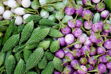 Bitter gourds, Momordica charantia, and egg plants, vegetables,