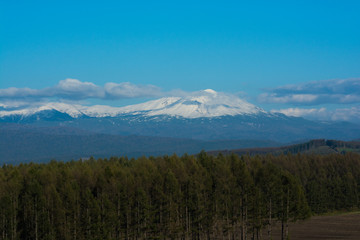 冠雪した高い山