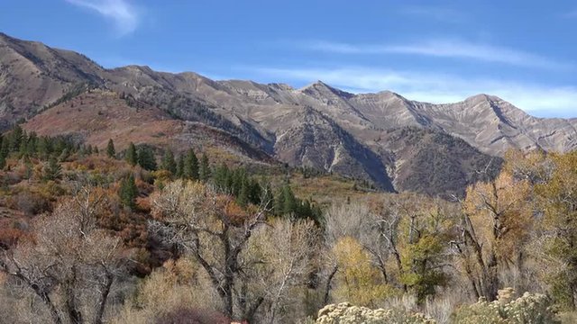 Autumn trees forest mountain peaks Utah 4K 018