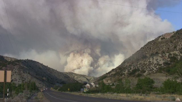 Forest fire up canyon road HD