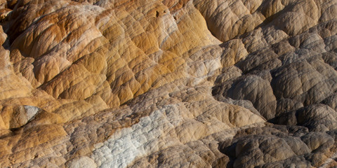 Mammoth Hot Springs Travertine Texture 