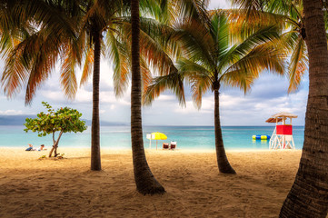 Beach in Jamaica with tall palm tree on Caribbean sea, Montego Bay