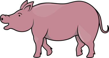 Pig cartoon illustration