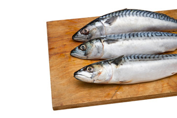 Three mackerel on a wooden Board isolated