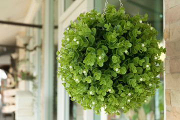 Fototapeta premium green plastic bouquet flowers hanging decoration in front