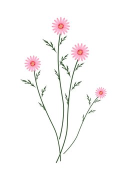 pink flowers on green stems clip art preview